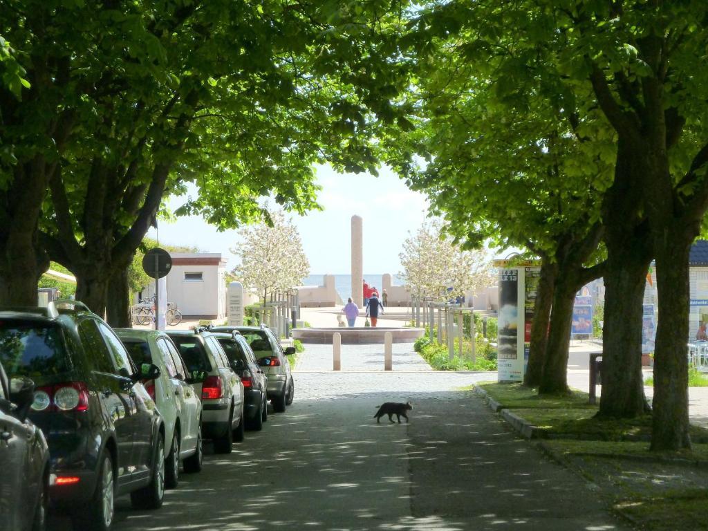 Strandhotel Villa Louisa & Appartementhaeuser Villa Josephine Und Villa Christine 朱列斯拉赫 外观 照片